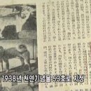 '조선고유견, 진도견'에 수록된 사진 발굴의 의의 이미지