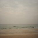 달마사진관 네이버블로그