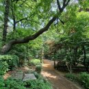 영축산순환산책로(유아숲) 이미지