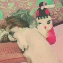 또오옥