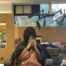 카카오프렌즈 앞 횡단보도 이미지