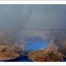 월성활아구 이미지