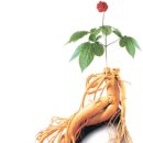 단산농원 이미지