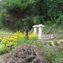 매포의원 이미지