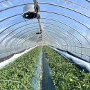 성주농장 이미지