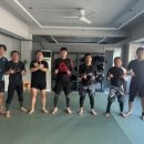 그레이시주짓수 네이버블로그