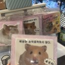 250416-250419 무한한 조화와 열린 사랑으로 가는 길