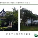 경주신라컨트리클럽골프연습장 이미지