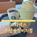 스타벅스 부산송정비치점 | 부산 송정 카페 스타벅스 송정비치점 더 멜론 오브 멜론 프라푸치노