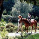 낭만여행 이미지