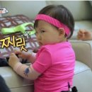 올리브트리 이미지