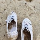 연곡해변 솔향기캠핑장 이미지