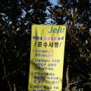 아연네감귤체험농장 이미지