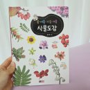 초등 교과 연계 완벽한 자연 관찰 책, '봄·여름·가을·겨울 식물도감' 후기