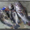 베타네민박 이미지