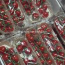 우리동네 카 센터 | 노랑풍선 동유럽 패키지 내돈내산 후기 10 (프라하성, 화약탑, 선택관광, 카를교, 굴뚝빵, 체코식, 야경)