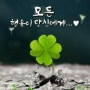 강남아빠 공인중개사사무소 이미지