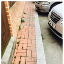 천전초등학교 이미지