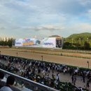 경마공원역 1번출구 | 📍렛츠런파크 별밤마중 페스티벌 후기🌙 드론쇼·레이저쇼·주차 꿀팁까지 [드론쇼 일정 변경]