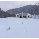 두푸딩하우스 이미지