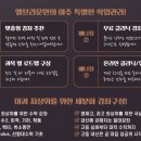 엘브라운영재관