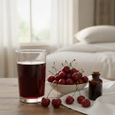 신체의 열매 | 타트체리, 수면의 질을 높이는 마법의 열매: 효능부터 섭취법까지 완벽 가이드