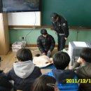 조야초등 이미지