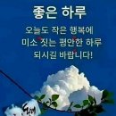 그대는 한 송이 <b>영롱</b>한 꽃 이여라!
