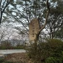안민고개 매립장 입구 | 창원 야경 드라이브 추천 진해 안민고개 &amp; 만날재 숨은 명소