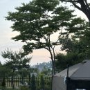 A-1 | 강화 물미캠핑장 | 강화도 신생 캠핑장 시설이 진짜 깨끗한 곳! 명당추천 A-1 사이트 캠핑 후기
