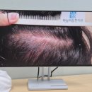 칠보한의원 이미지