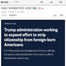 보배펌) 트럼프 '외국태생 미국인 시민권 박탈' 이미지