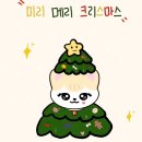 베이지냥이에게 편지🐈♡̷⸝⋆⸝⋆ #29 이미지