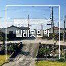 제주 동쪽 가성비 숙소 빌레못민박 10만원대 추천