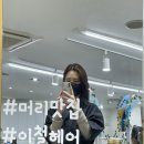 잠실나루 이철헤어커커 민호 디자이너 두피케어클리닉 후기