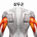라인필라테스 네이버블로그