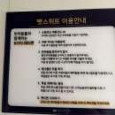 퀸 오락실 | 퀸제누비아2 펫 스위트룸[제주-목포] 대형견, 중형견과 배 타기 상세한 설명!!! 과 후기