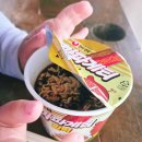 해적 | 아이도 어른도 즐거웠던 세부 호핑투어 해적호핑 아이와 후기