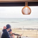 제주함덕청춘어시장 | [제주함덕청춘어시장] 가성비에 맛까지 대박이었던 함덕해수욕장 횟집