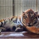 서울대공원 이미지