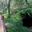 제주 사라봉 일제동굴진지 이미지