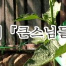 목영가구 Daum카페