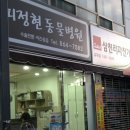 피정현 동물병원 | [미니핀]라라가 아파요