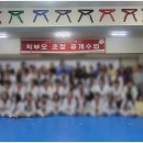 스포렉스 태권도 이미지