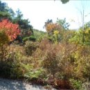 동오보건진료소 이미지