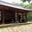 통일촌장단콩마을 이미지