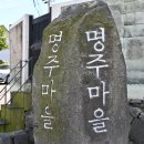 제주일출쑥빵보리빵 | 제주 쑥빵 맛집 보리빵 잘하는 보리빵마을 후기
