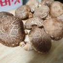 아름1농장 이미지