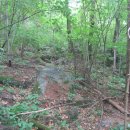 천마카센터 이미지