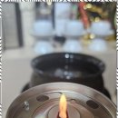 별빛하루 이미지